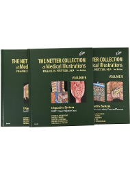 The Netter Collection of Medical Illustrations: Digestive System Package: 3-Part Set: 9