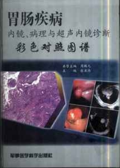 胃肠疾病内镜、病理与超声内镜诊断彩色对照图谱