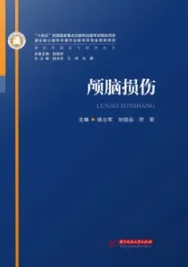神经外科亚专科学丛书 颅脑损伤
