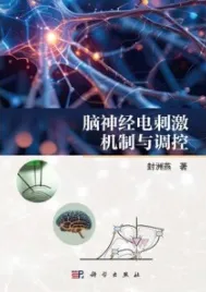 脑神经电刺激机制与调控
