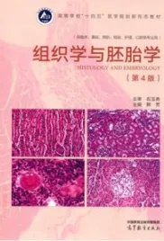 组织学与胚胎学 第4版