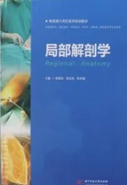 局部解剖学