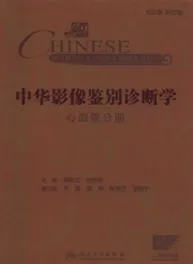 中华影像鉴别诊断学 心血管分册