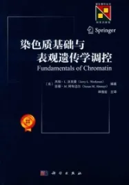 染色质基础与表观遗传学调控