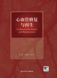 心血管修复与再生