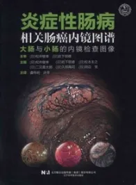 炎症性肠病相关肠癌内镜图谱 大肠与小肠的内镜检查图像