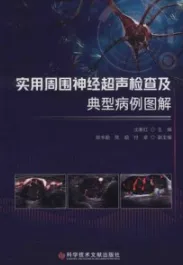 实用周围神经超声检查及典型病例图解
