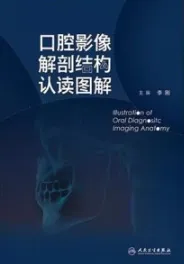 口腔影像解剖结构认读图解