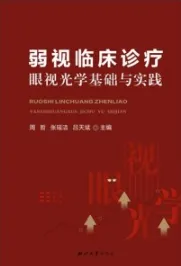 弱视临床诊疗眼视光学基础与实践