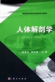 人体解剖学