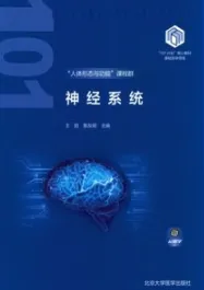 神经系统 基础医学101计划核心教材