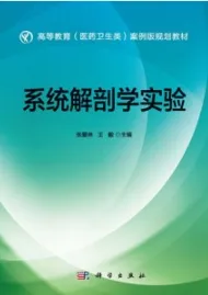 系统解剖学实验