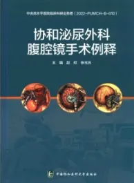 协和泌尿外科腹腔镜手术例释