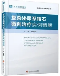 复杂泌尿系结石微创治疗病例精解