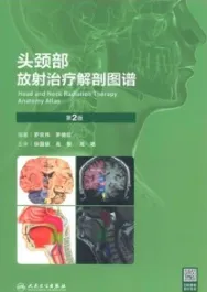 头颈部放射治疗解剖图谱 第2版