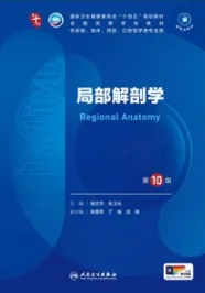 局部解剖学 第10版 本科临床第十轮教材