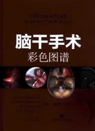 脑干手术彩色图谱