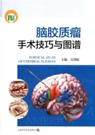 脑胶质瘤手术技巧与图谱