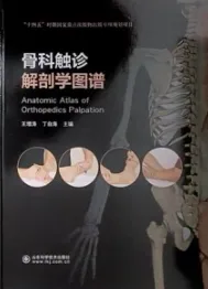 骨科触诊解剖学图谱