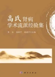 高氏肾病学术流派经验集