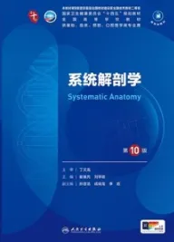 系统解剖学 第10版_本科临床第十轮教材