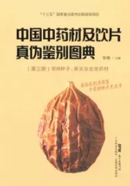 中国中药材及饮片真伪鉴别图典 第三册 常用种子、果实及皮类药材