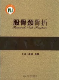 股骨颈骨折
