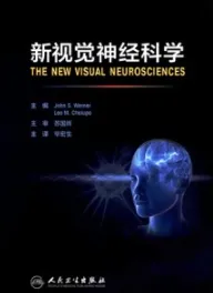 新视觉神经科学