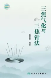 三焦气化与三焦针法