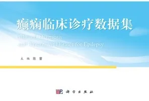 癫痫临床诊疗数据集