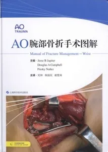 AO腕部骨折手术图解