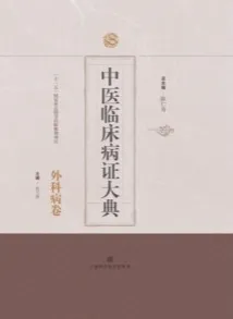 中医临床病证大典 外科病卷