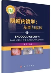 阴道内镜学 基础与临床