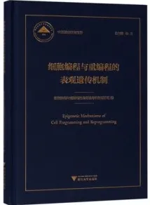 细胞编程与重编程的表观遗传机制