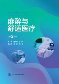 麻醉与舒适医疗 第2版