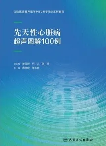 先天性心脏病超声图解100例