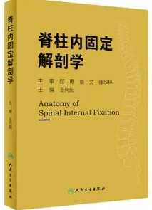 脊柱内固定解剖学