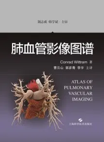肺血管影像图谱