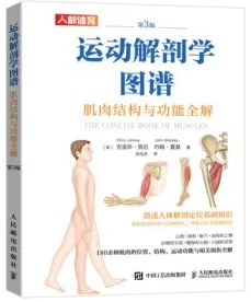运动解剖学图谱 肌肉结构与功能全解 第3版