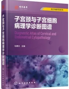 子宫颈与子宫细胞病理学诊断图谱