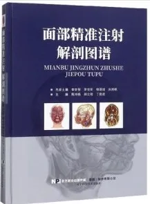 面部精准注射解剖图谱