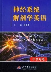 神经系统解剖学英语（中英对照）