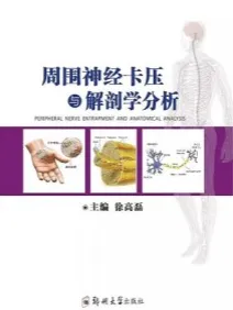 周围神经卡压与解剖学分析