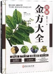 图解金方大全