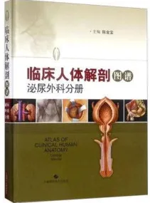 临床人体解剖图谱 泌尿外科分册