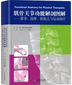 肌骨关节功能解剖图解