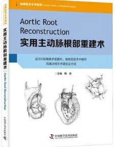 实用主动脉根部重建术