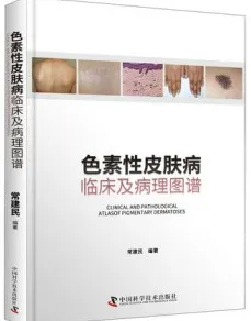 色素性皮肤病 临床及病理图谱
