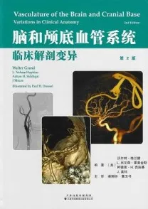 脑和颅底血管系统临床解剖变异 第2版