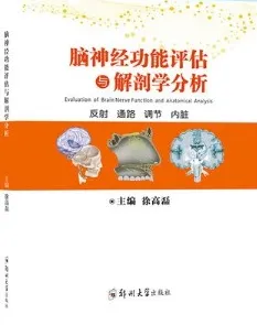 脑神经功能评估与解剖学分析